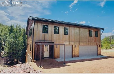 1282 N Crystal Road Lake George CO 80827