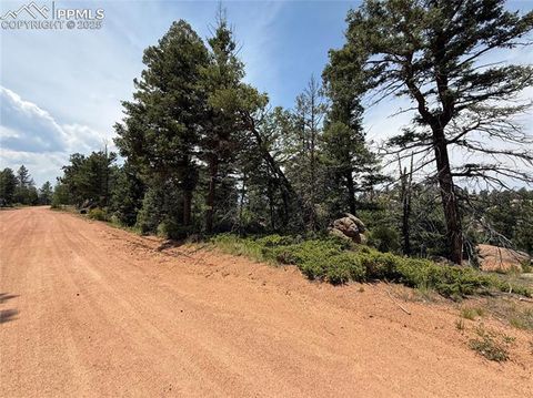 Photo of 3546 N Mountain Estates Road, Florissant, CO 80816 (MLS # 2673895)