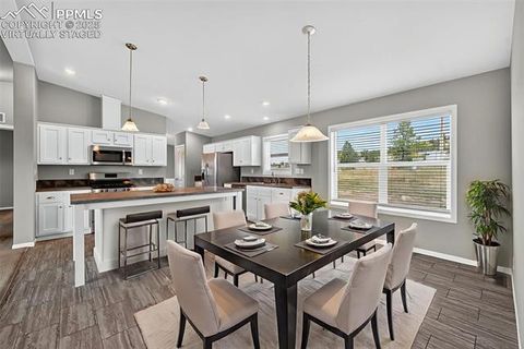 Tiny photo for 111 Estes Circle, Florissant, CO 80816 (MLS # 3017099)