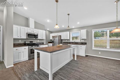 Tiny photo for 111 Estes Circle, Florissant, CO 80816 (MLS # 3017099)