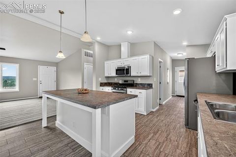 Tiny photo for 111 Estes Circle, Florissant, CO 80816 (MLS # 3017099)