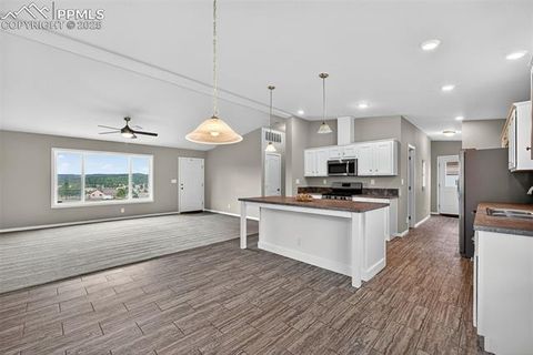 Tiny photo for 111 Estes Circle, Florissant, CO 80816 (MLS # 3017099)