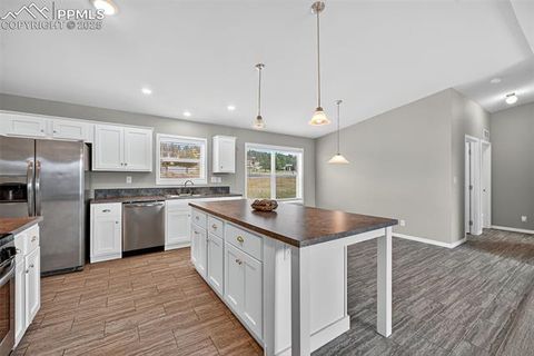 Tiny photo for 111 Estes Circle, Florissant, CO 80816 (MLS # 3017099)