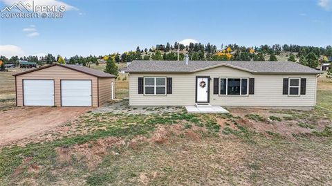 Tiny photo for 111 Estes Circle, Florissant, CO 80816 (MLS # 3017099)