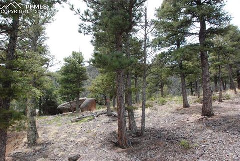 16965 Winchester Road Colorado Springs CO 80908