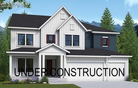 17250 Alsike Clover Court Monument CO 80132