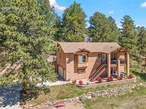 Tiny photo for 243 Lakewood Drive, Woodland Park, CO 80863 (MLS # 9586943)