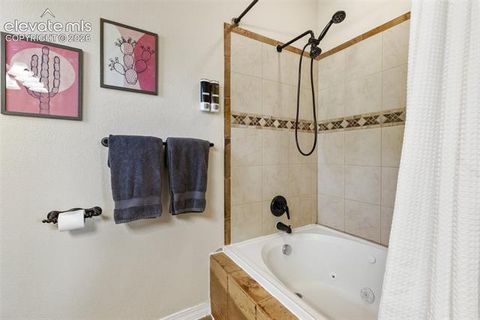 Tiny photo for 243 Lakewood Drive, Woodland Park, CO 80863 (MLS # 9586943)