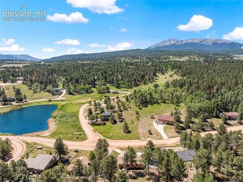 Tiny photo for 243 Lakewood Drive, Woodland Park, CO 80863 (MLS # 9586943)