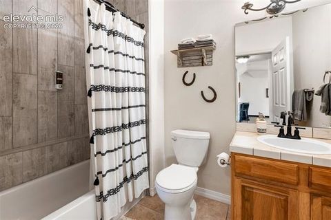 Tiny photo for 243 Lakewood Drive, Woodland Park, CO 80863 (MLS # 9586943)