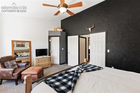 Tiny photo for 243 Lakewood Drive, Woodland Park, CO 80863 (MLS # 9586943)