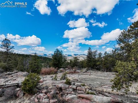 Photo of 54 Ute Circle, Florissant, CO 80816 (MLS # 7904304)