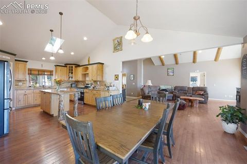 Tiny photo for 516 Saguache Drive, Florissant, CO 80816 (MLS # 3404334)