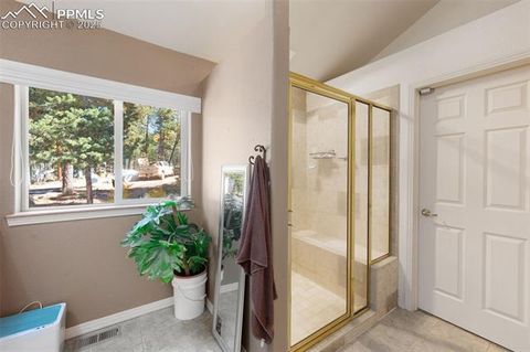 Tiny photo for 516 Saguache Drive, Florissant, CO 80816 (MLS # 3404334)