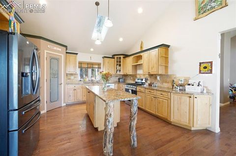 Tiny photo for 516 Saguache Drive, Florissant, CO 80816 (MLS # 3404334)
