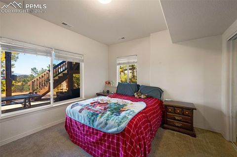 Tiny photo for 516 Saguache Drive, Florissant, CO 80816 (MLS # 3404334)