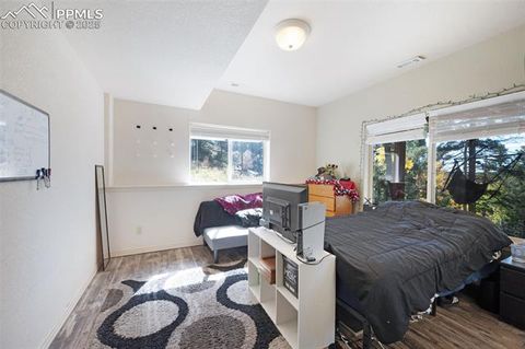 Tiny photo for 516 Saguache Drive, Florissant, CO 80816 (MLS # 3404334)