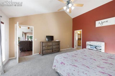Tiny photo for 516 Saguache Drive, Florissant, CO 80816 (MLS # 3404334)