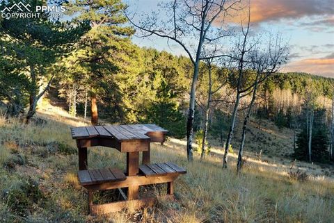 Tiny photo for 516 Saguache Drive, Florissant, CO 80816 (MLS # 3404334)