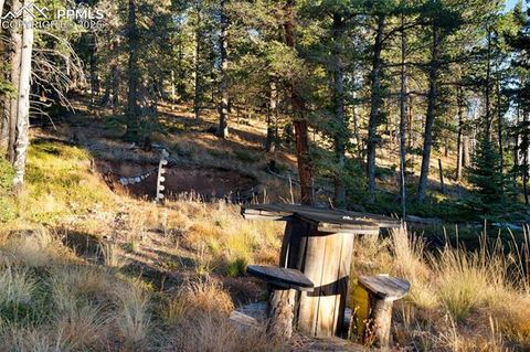 Tiny photo for 516 Saguache Drive, Florissant, CO 80816 (MLS # 3404334)