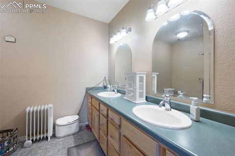 Tiny photo for 516 Saguache Drive, Florissant, CO 80816 (MLS # 3404334)