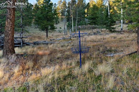 Tiny photo for 516 Saguache Drive, Florissant, CO 80816 (MLS # 3404334)