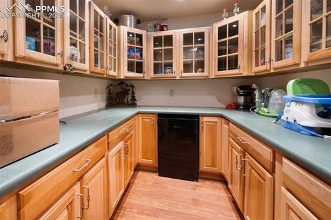 Tiny photo for 516 Saguache Drive, Florissant, CO 80816 (MLS # 3404334)