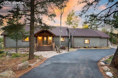 516 Saguache Drive Florissant CO 80816