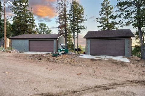 Tiny photo for 516 Saguache Drive, Florissant, CO 80816 (MLS # 3404334)