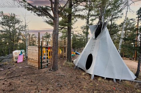 Tiny photo for 516 Saguache Drive, Florissant, CO 80816 (MLS # 3404334)