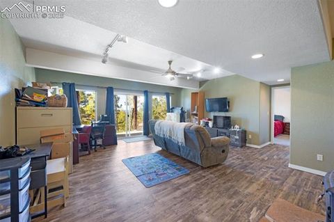 Tiny photo for 516 Saguache Drive, Florissant, CO 80816 (MLS # 3404334)