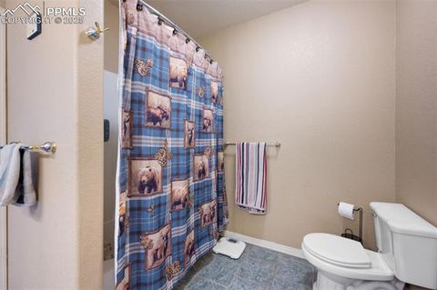 Tiny photo for 516 Saguache Drive, Florissant, CO 80816 (MLS # 3404334)