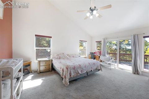 Tiny photo for 516 Saguache Drive, Florissant, CO 80816 (MLS # 3404334)