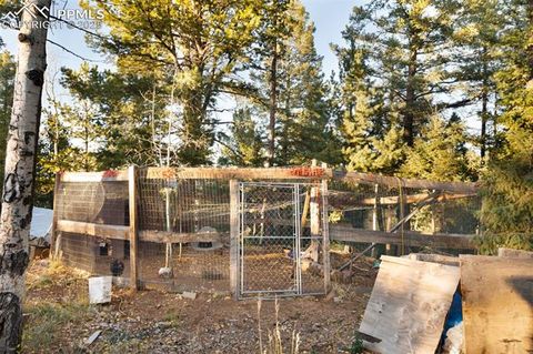 Tiny photo for 516 Saguache Drive, Florissant, CO 80816 (MLS # 3404334)