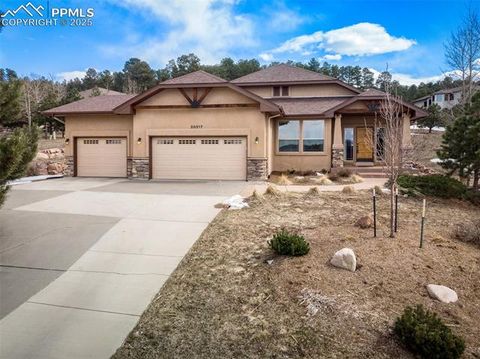20217 Kenneth Lainer Drive Monument CO 80132