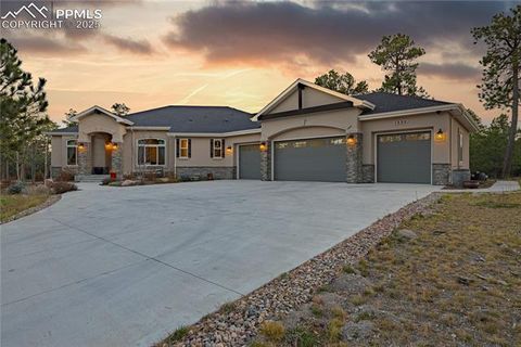 1325 Boldmere Court Monument CO 80132