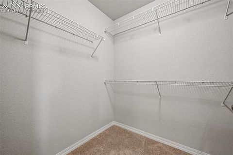 Tiny photo for 6796 Spruce Hill Court, Colorado Springs, CO 80923 (MLS # 8478424)