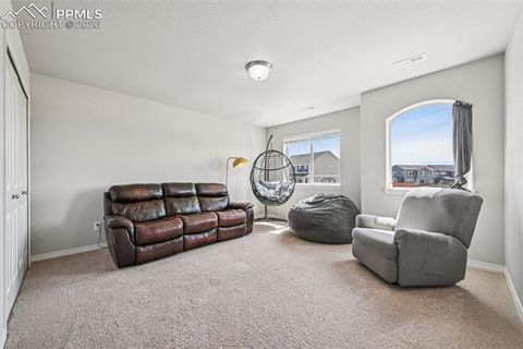 Tiny photo for 6796 Spruce Hill Court, Colorado Springs, CO 80923 (MLS # 8478424)