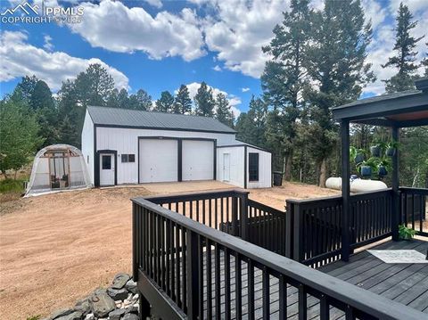 Tiny photo for 403 Pioneer Creek Drive, Florissant, CO 80816 (MLS # 1246410)