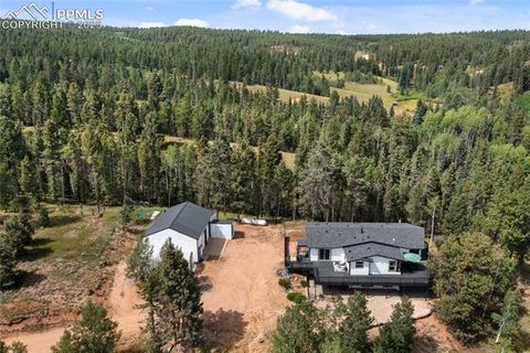 Tiny photo for 403 Pioneer Creek Drive, Florissant, CO 80816 (MLS # 1246410)