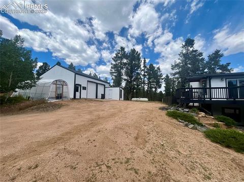 Tiny photo for 403 Pioneer Creek Drive, Florissant, CO 80816 (MLS # 1246410)