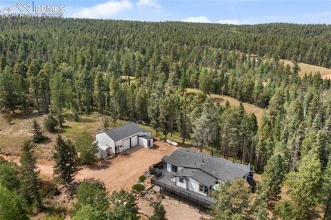 Tiny photo for 403 Pioneer Creek Drive, Florissant, CO 80816 (MLS # 1246410)