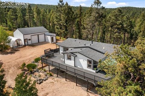 Tiny photo for 403 Pioneer Creek Drive, Florissant, CO 80816 (MLS # 1246410)