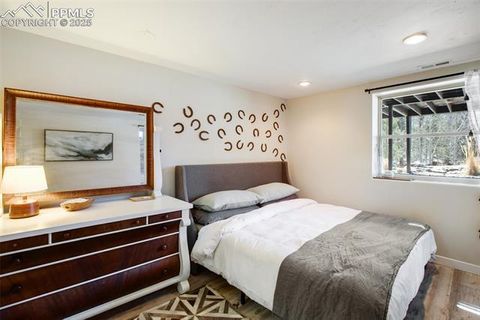 Tiny photo for 403 Pioneer Creek Drive, Florissant, CO 80816 (MLS # 1246410)