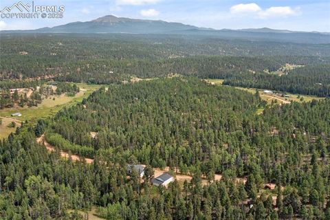 Tiny photo for 403 Pioneer Creek Drive, Florissant, CO 80816 (MLS # 1246410)