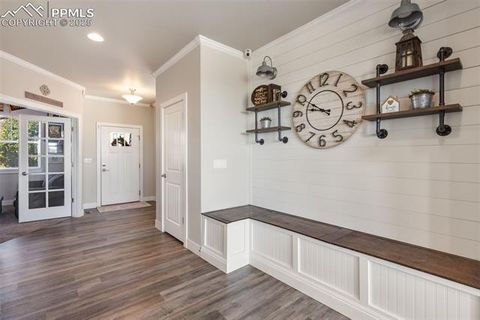 Tiny photo for 6627 Cottonwood Tree Drive, Colorado Springs, CO 80927 (MLS # 3390339)