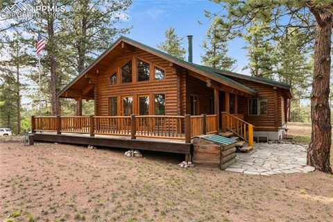 Tiny photo for 170 Druid Trail, Florissant, CO 80814 (MLS # 4599109)