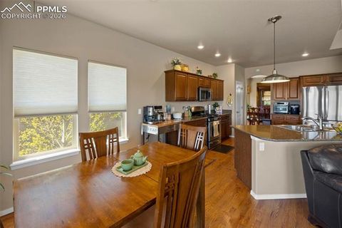 Tiny photo for 10033 Pinedale Drive, Colorado Springs, CO 80920 (MLS # 1880826)