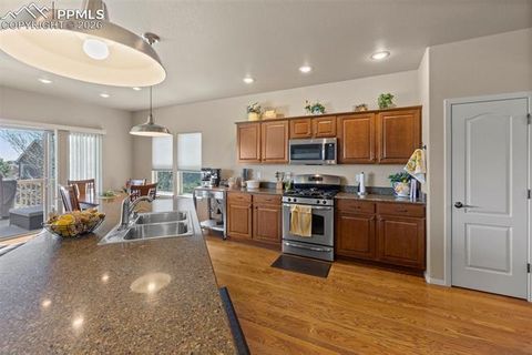 Tiny photo for 10033 Pinedale Drive, Colorado Springs, CO 80920 (MLS # 1880826)