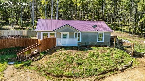 86 Will Stutley Drive Divide CO 80814